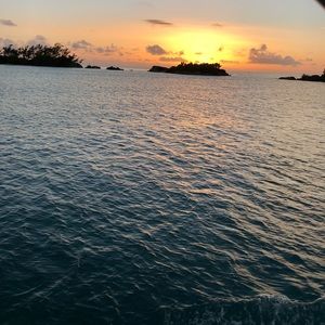 Meet your Posher, Riley